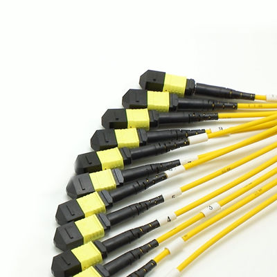 저손실 MPO Fanout 케이블 대량 코어 1M 144F SMG657A1 MPO APC로 MPO APC 브레이크오프틱 광섬유 패치 코드